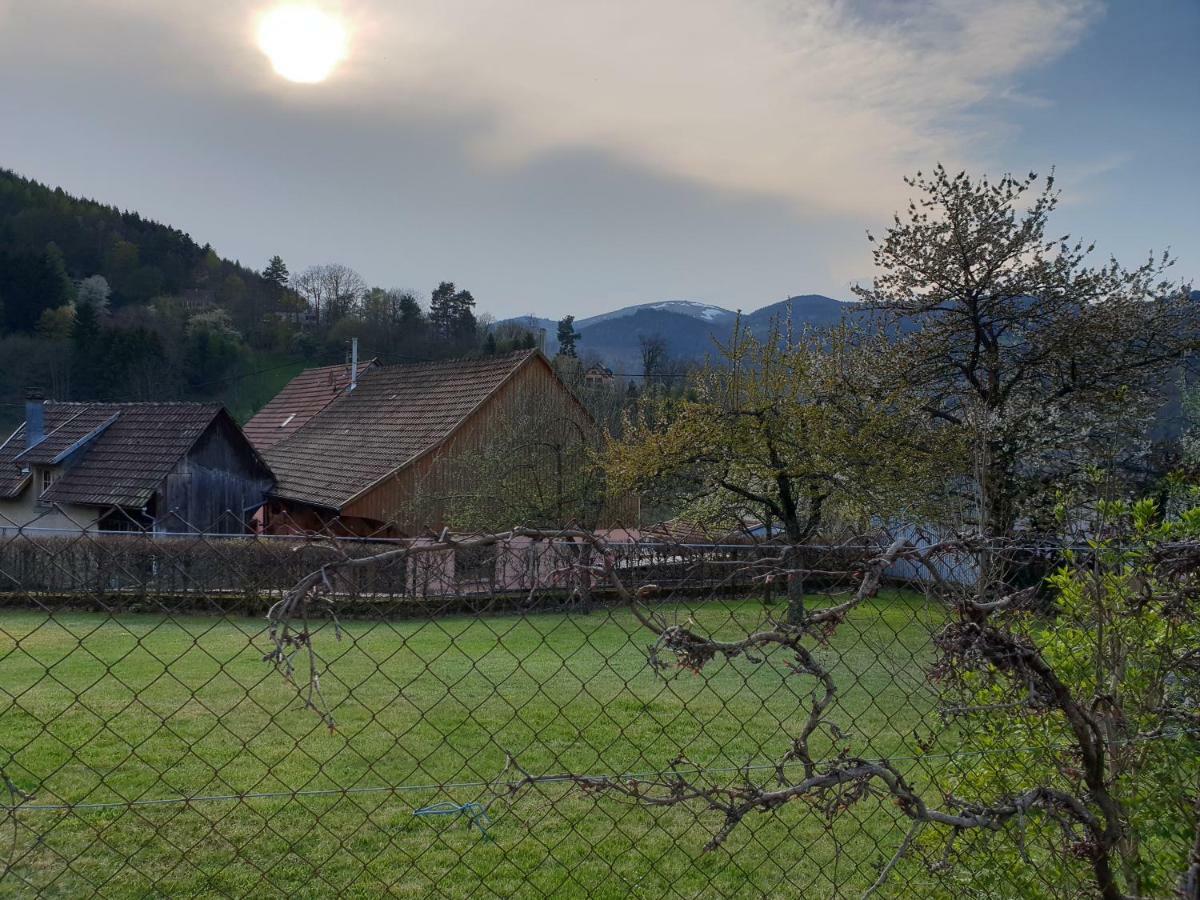 Petit Week End Dans La Vallee Breitenbach-Haut-Rhin Екстер'єр фото
