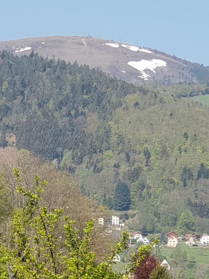 Petit Week End Dans La Vallee Breitenbach-Haut-Rhin Екстер'єр фото