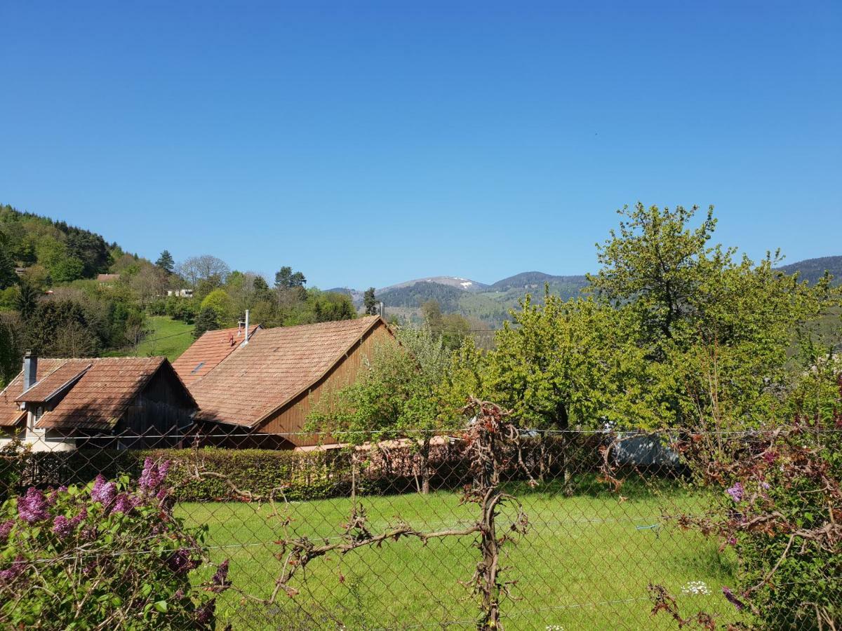Petit Week End Dans La Vallee Breitenbach-Haut-Rhin Екстер'єр фото