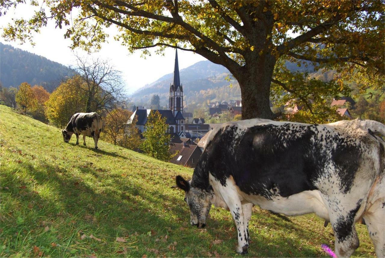 Petit Week End Dans La Vallee Breitenbach-Haut-Rhin Екстер'єр фото